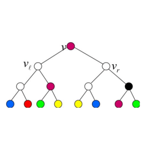 Read more about the article Convex Recoloring of Trees and Networks